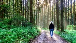 Negyedórás séta és a stressz eltűnik